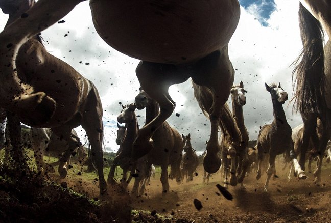 Συγκλονιστικές εικόνες από διαγωνισμό του National Geographic - Φωτογραφία 2