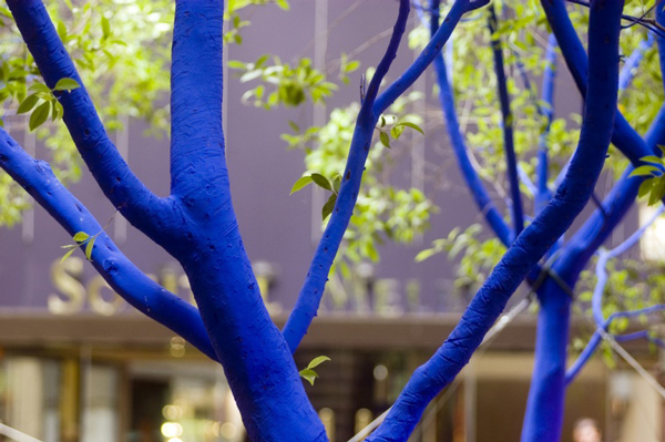 Τα δέντρα στις πόλεις… βάφονται μπλε! - Φωτογραφία 7