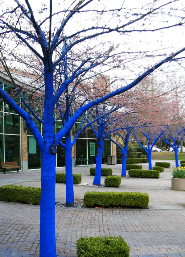 Τα δέντρα στις πόλεις… βάφονται μπλε! - Φωτογραφία 8