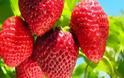 Υγεία: Οι λόγοι που πρέπει να τρώτε φράουλες !
