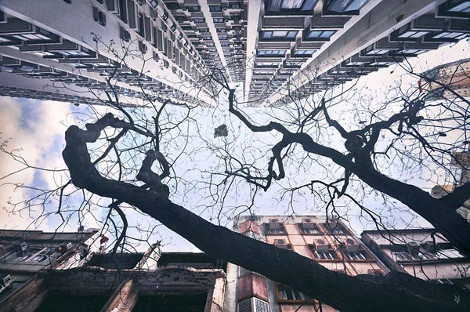 Η φωτογραφία της ημέρας - Φωτογραφία 9