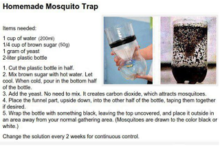Φτιάξτε παγίδα για κουνούπια, απλά και φθηνά... - Φωτογραφία 1