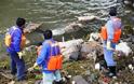 Εξιχνιάστηκε το «έγκλημα» με τα 16.000 νεκρά γουρούνια σε ποταμό της Κίνας