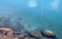 Πάτρα: Καθαρίζουν τα νερά της Μαρίνας - Βλέπεις για πρώτη φορά βυθό μετά απο δεκαετίες! - Τα ...απίστευτα ευρήματα που αποκαλύφθηκαν - Φωτογραφία 1
