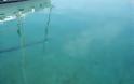 Πάτρα: Καθαρίζουν τα νερά της Μαρίνας - Βλέπεις για πρώτη φορά βυθό μετά απο δεκαετίες! - Τα ...απίστευτα ευρήματα που αποκαλύφθηκαν - Φωτογραφία 4