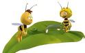 Μεγάλη νίκη για τις μέλισσες – Η ΕΕ απαγόρευσε διαδεδομένα παρασιτοκτόνα