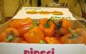 Καταγγελία για πιπεριές (﻿θερμοκήπια Δράμας Α.Ε.) - Φωτογραφία 3