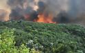Φθιώτιδα: Πυρκαγιά σε εξέλιξη στη Νεράιδα Στυλίδας