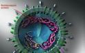 Πέντε νεκροί από συγγενή ιό του SARS