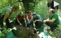 Διάσωση τραυματισμένης αρκούδας στα Γρεβενά [Video]