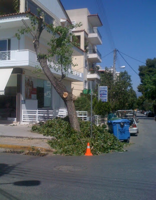 Κατακρεούργηση δένδρων με τη βοήθεια του Δήμου Αγίας Παρασκευής - Φωτογραφία 3