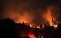 Μεγάλη πυρκαγιά στην Καλιφόρνια