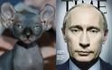 Ποιός Ρώσος ηγέτης μοιάζει με φαλακρή γάτα;