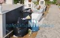 Μεγάλο Σάββατο ο καθαρισμός της πλατείας στο Τρίκορφο - Φωτογραφία 3