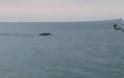 Σάλος με βίντεο που καταγράφει τέρας τύπου... Λοχ Nες σε θάλασσα της Ιρλανδίας