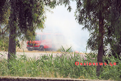 Φωτιά το μεσημέρι στο Μεσολόγγι - Φωτογραφία 7