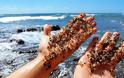Παραλία από... γυαλί: Η «χωματερή» που αξίζει να επισκεφθείς! - Φωτογραφία 1
