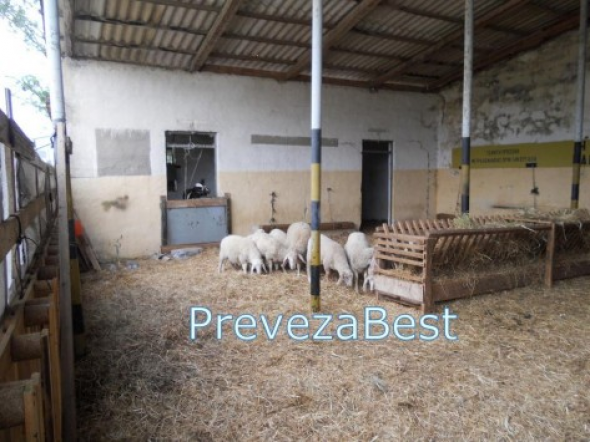 ΒΙΝΤΕΟ-Σκουπίδια και...πρόβατα στα στρατόπεδα της Πρέβεζας - Φωτογραφία 2