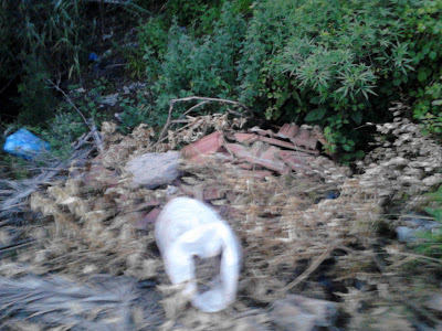 Χωματερή έχει γίνει το ρέμα στα Τριαντείκα  με σύνορα  το  Ελαιόφυτο στο Αγρίνιο - Φωτογραφία 8