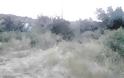 Χωματερή έχει γίνει το ρέμα στα Τριαντείκα  με σύνορα  το  Ελαιόφυτο στο Αγρίνιο - Φωτογραφία 10