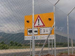 Τοποθέτηση φράκτη για την προστασία της αρκούδας στην Εγνατία Οδό - Φωτογραφία 1