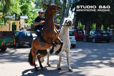 Φυσιολατρική πορεία Αργολικό Πανόραμα στο Κεφαλάρι Άργους - Φωτογραφία 5