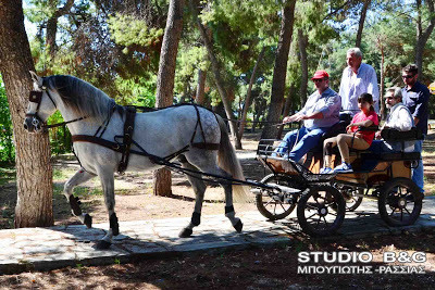 Φυσιολατρική πορεία Αργολικό Πανόραμα στο Κεφαλάρι Άργους - Φωτογραφία 6