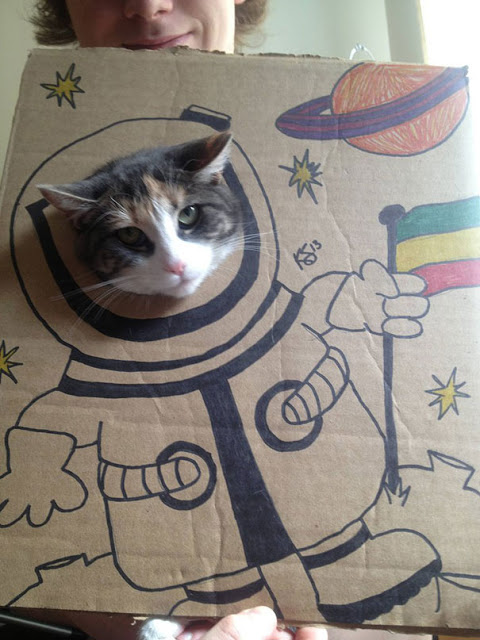 Γάτος σε... σούπερ μεταμφιέσεις από χαρτόνι! - Φωτογραφία 2