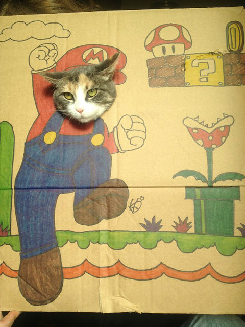 Γάτος σε... σούπερ μεταμφιέσεις από χαρτόνι! - Φωτογραφία 4