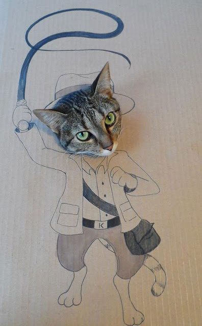 Γάτος σε... σούπερ μεταμφιέσεις από χαρτόνι! - Φωτογραφία 5