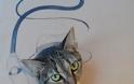 Γάτος σε... σούπερ μεταμφιέσεις από χαρτόνι! - Φωτογραφία 1