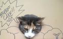 Γάτος σε... σούπερ μεταμφιέσεις από χαρτόνι! - Φωτογραφία 3