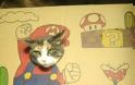 Γάτος σε... σούπερ μεταμφιέσεις από χαρτόνι! - Φωτογραφία 4