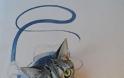 Γάτος σε... σούπερ μεταμφιέσεις από χαρτόνι! - Φωτογραφία 5
