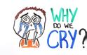 VIDEO: Που οφείλεται το κλάμα;