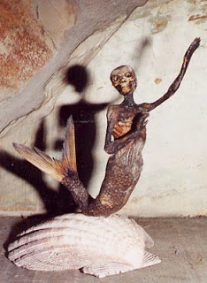 Οι ΗΠΑ επιβεβαιώνουν την ύπαρξη γοργόνων! - Φωτογραφία 2