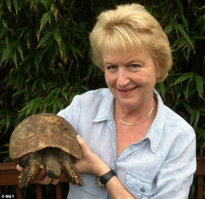 Πέθανε η μακροβιότερη χελώνα της Βρετανίας μετά από δάγκωμα… αρουραίου! - Φωτογραφία 2