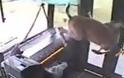 ΑΠΙΣΤΕΥΤΟ VIDEO: Λεωφορείο συγκρούστηκε με ελάφι που πέρασε μέσα από το
παρμπρίζ