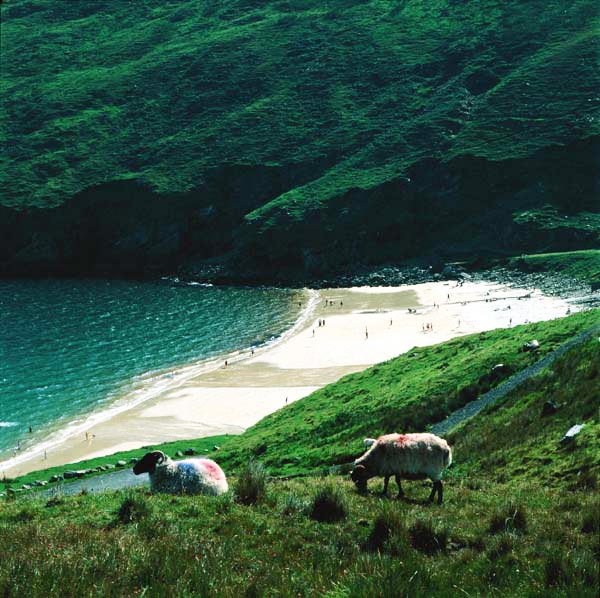 Achill Island: Το εκπληκτικό νησί της Ιρλανδίας! - Φωτογραφία 3