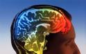 Αντίληψη | Η στροφή των νευροεπιστημών στη γνωστική λειτουργία