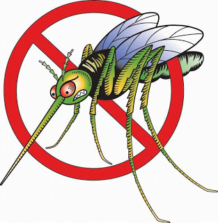 Ξεφορτωθείτε τα κουνούπια πριν καν εμφανιστούν! - Φωτογραφία 1