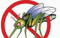 Ξεφορτωθείτε τα κουνούπια πριν καν εμφανιστούν! - Φωτογραφία 1