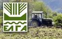 ΕΛΓΑ: Ηλείοι αγρότες κινδυνεύουν να χάσουν τις αποζημειώσεις αν δεν πληρώσουν τις εισφορές