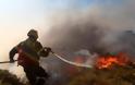 Aχαΐα: Πυρκαγιά ξέσπασε στην Λακκόπετρα