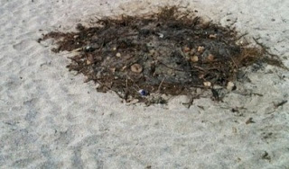 Απαράδεκτο! Έκαψαν σκουπίδια στο κέντρο παραλίας στη Χερσόνησο - Δείτε τις εικόνες - Φωτογραφία 1