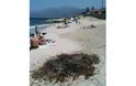 Απαράδεκτο! Έκαψαν σκουπίδια στο κέντρο παραλίας στη Χερσόνησο - Δείτε τις εικόνες - Φωτογραφία 2