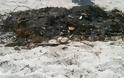 Απαράδεκτο! Έκαψαν σκουπίδια στο κέντρο παραλίας στη Χερσόνησο - Δείτε τις εικόνες - Φωτογραφία 3