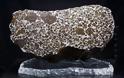 Ο 4,5 δισεκατομμυρίων ετών όμορφος και μυστηριώδης μετεωρίτης Fukang! - Φωτογραφία 6