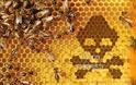 Η Monsato Φτιάχνει Ρομποτικές Μέλισσες για Επικονίαση!!!