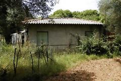 Aγρίνιο: Tι έκανε την Κριστιάνα να το σκάσει;